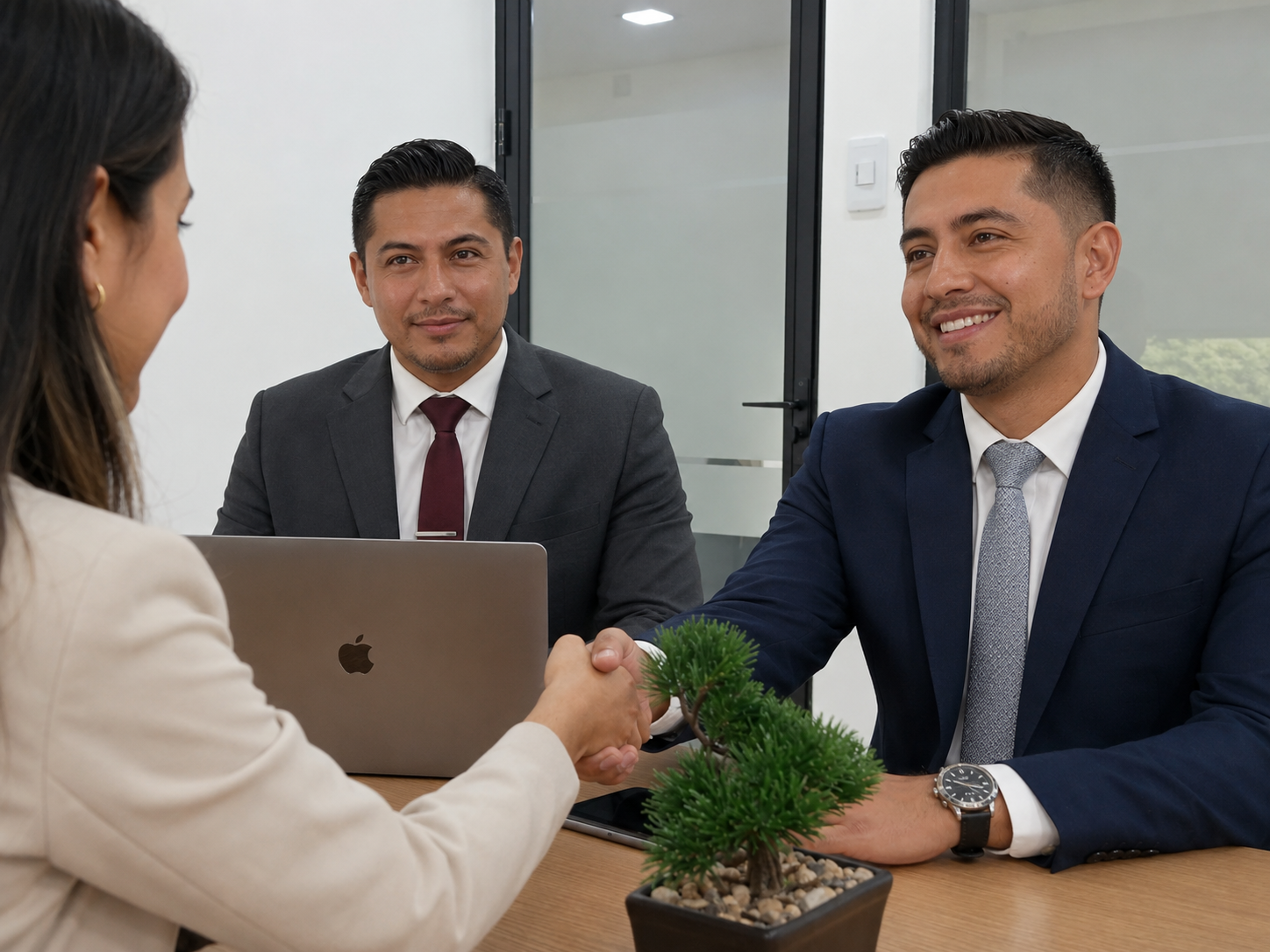 Consulting for Public Entities
